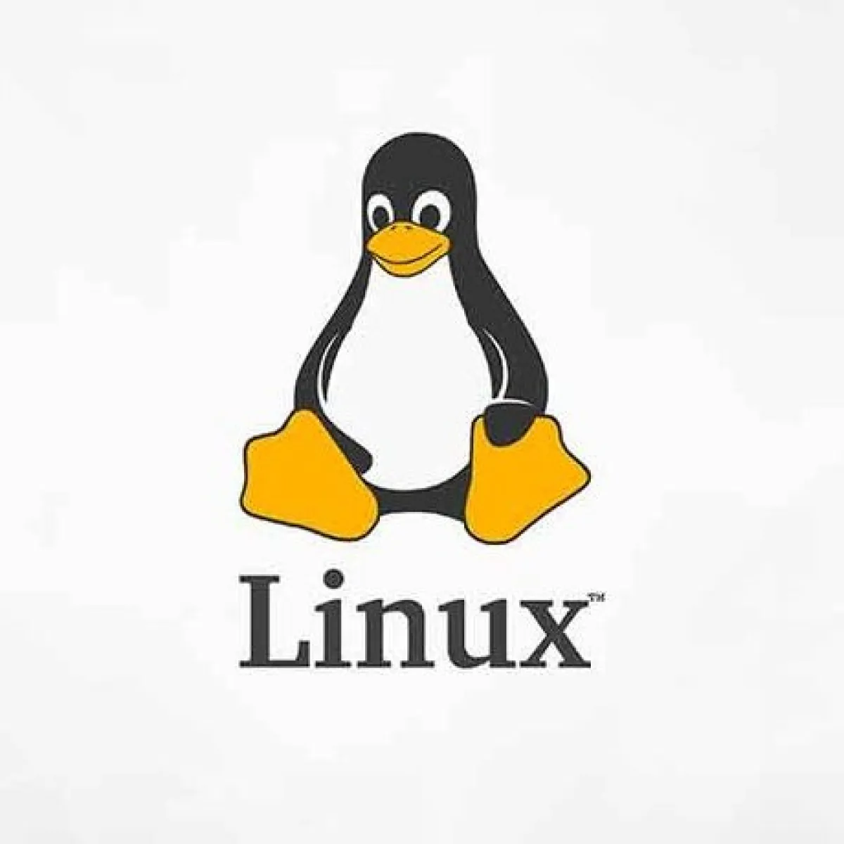 Menguasai Fondasi Terminal Linux untuk Engineer
